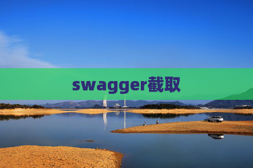 swagger截取